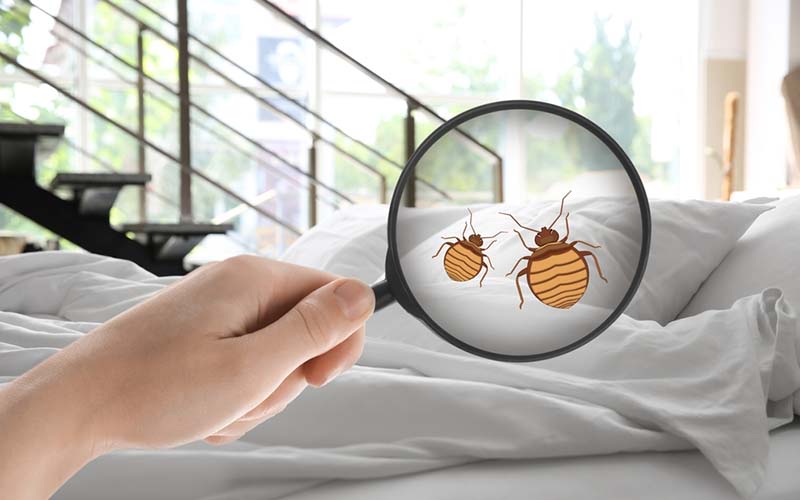 carpet cleaning in manhattan, carpet cleaning manhattan, carpet cleaners in manhattan, carpet cleaners in manhattan, commercial carpet cleaning, commercial carpet cleaning in manhattan, manhattan rug cleaners, rug cleaning services in manhattan, same day carpet cleaning, same day rug cleaning in manhattan