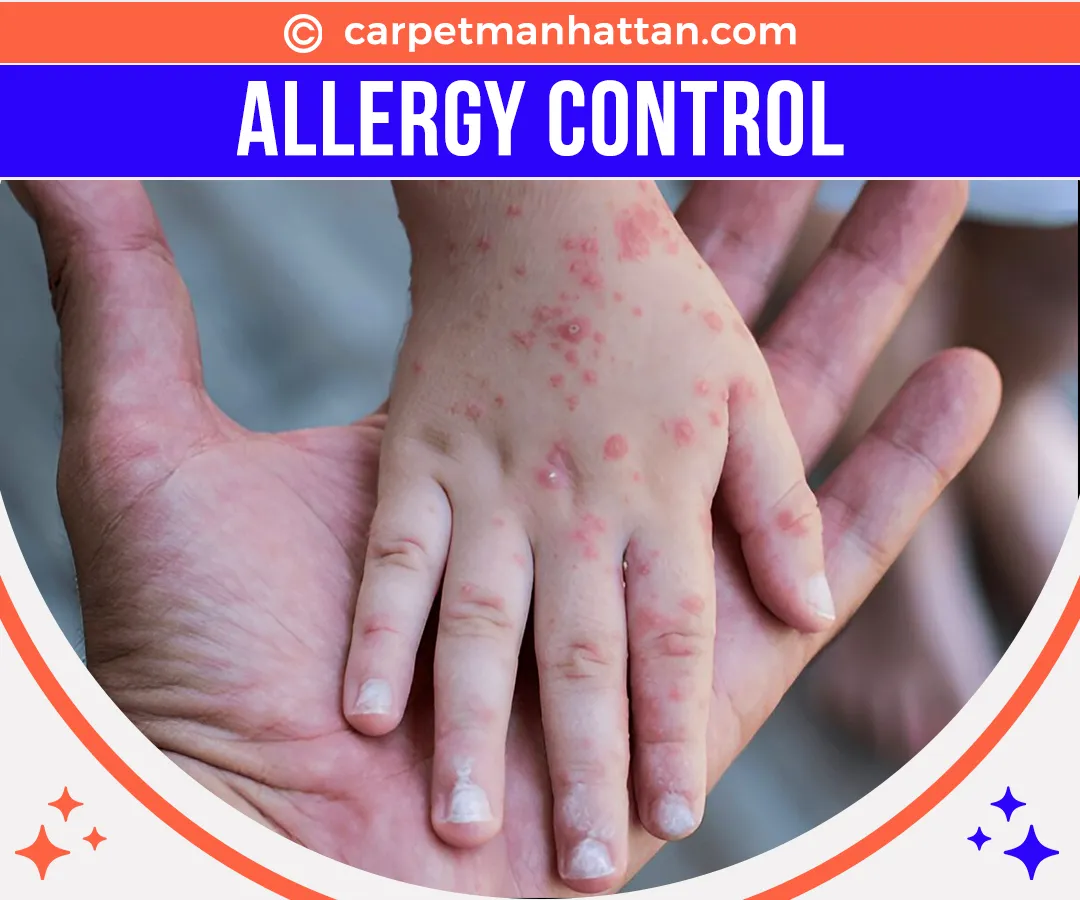 carpet cleaning in manhattan, carpet cleaning manhattan, carpet cleaners in manhattan, carpet cleaners in manhattan, commercial carpet cleaning, commercial carpet cleaning in manhattan, manhattan rug cleaners, rug cleaning services in manhattan, same day carpet cleaning, same day rug cleaning in manhattan