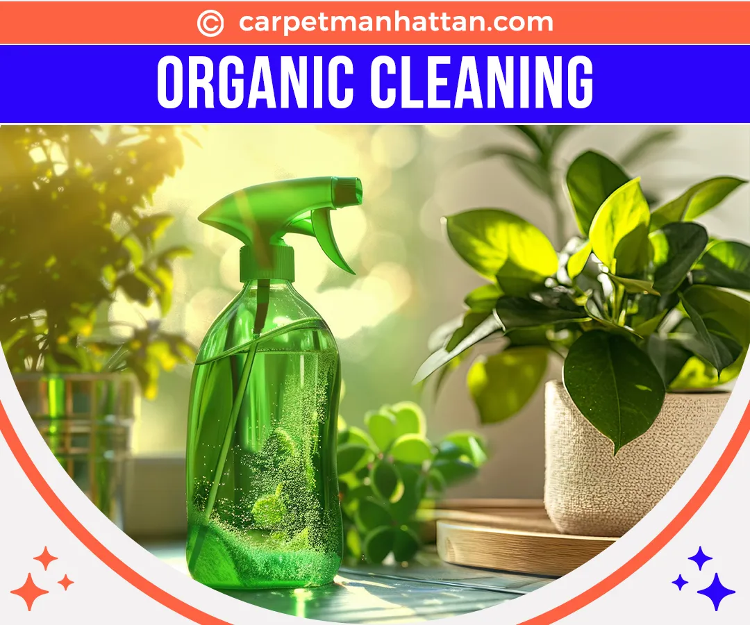 carpet cleaning in manhattan, carpet cleaning manhattan, carpet cleaners in manhattan, carpet cleaners in manhattan, commercial carpet cleaning, commercial carpet cleaning in manhattan, manhattan rug cleaners, rug cleaning services in manhattan, same day carpet cleaning, same day rug cleaning in manhattan